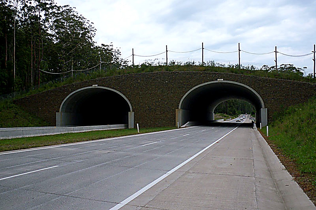 Beaudesert-Boonah Road Bebo arch underpass