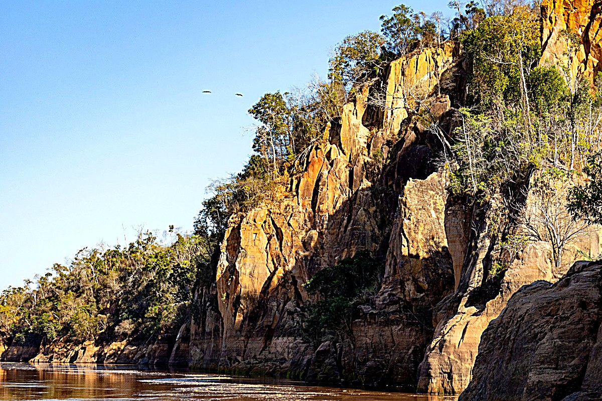 Riverbank protection works