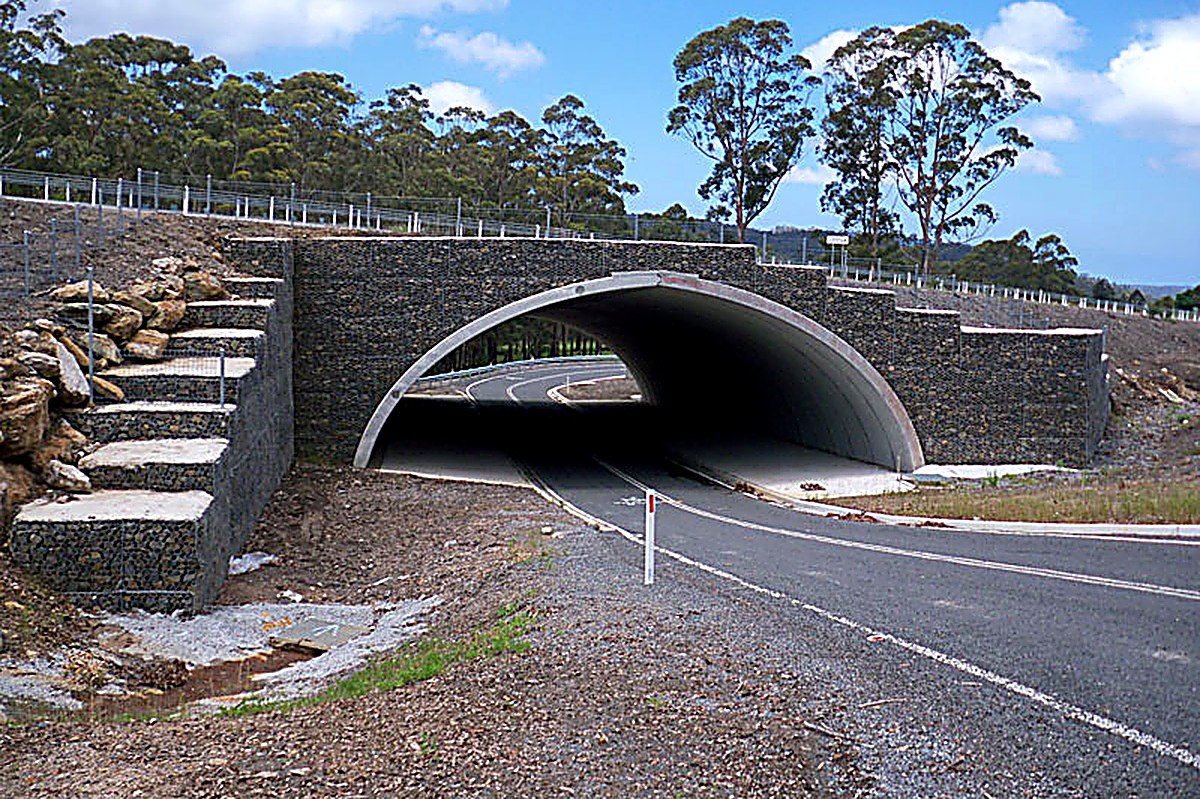 Tarago Conjola Bebo arch and gabion walls
