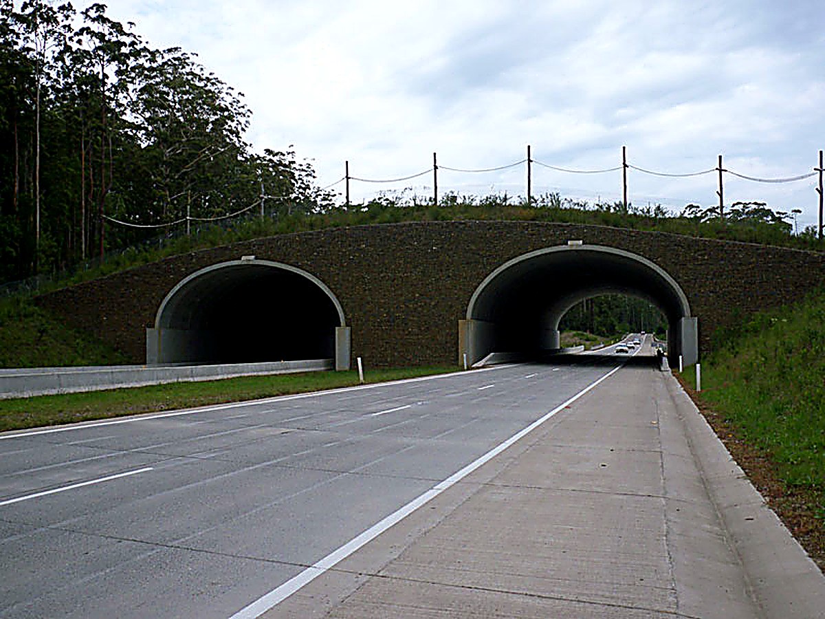 Bebo arch gabion facings
