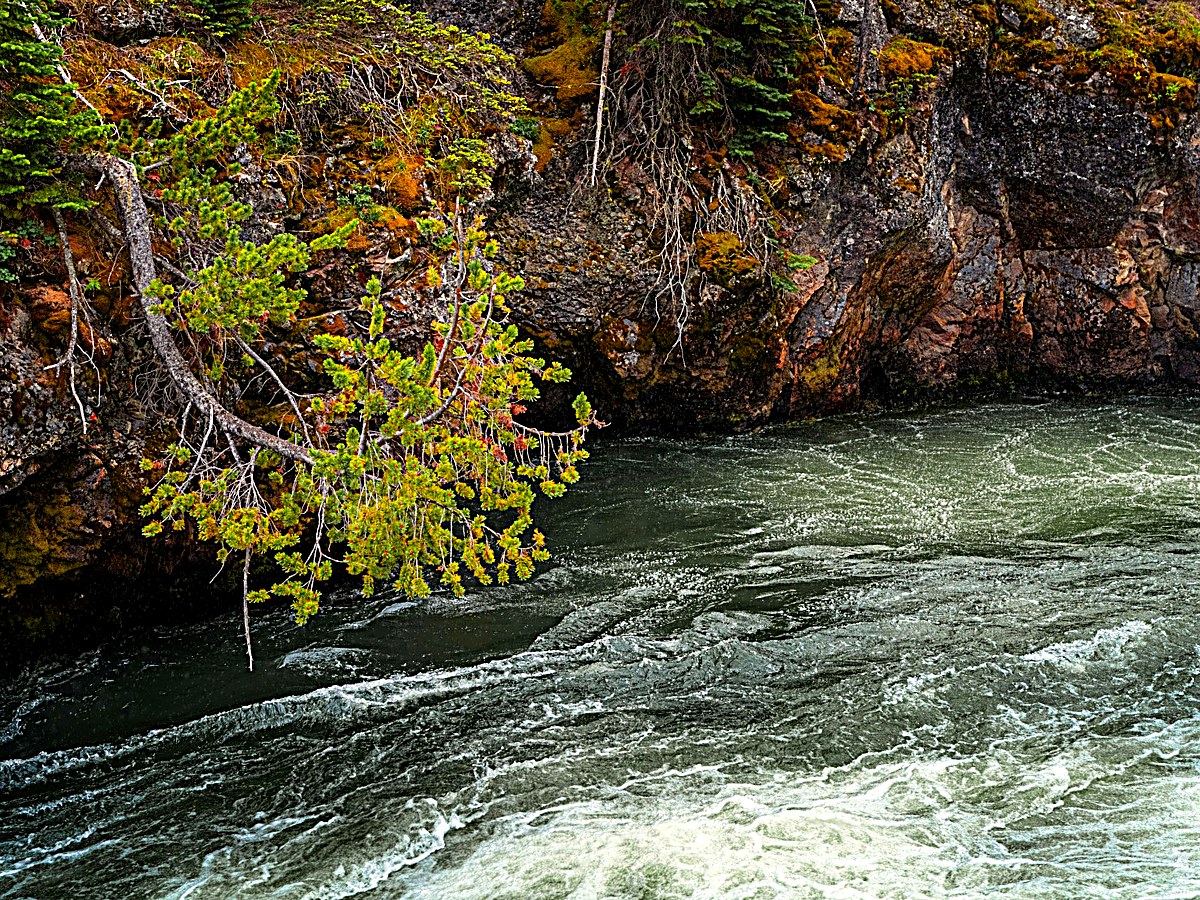 Waterway and bank protection